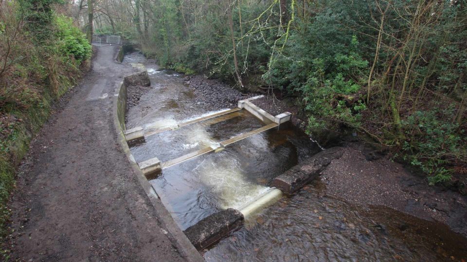 Gotter Water Fish Pass