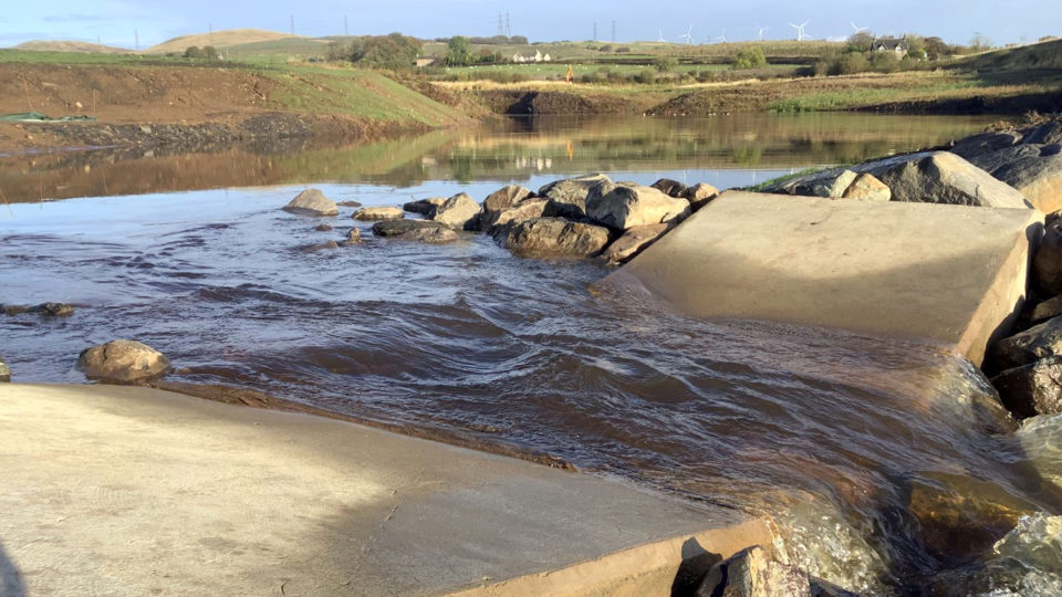 Wildlife returns to Munnoch Reservoir Leslie Ltd Passion Meets Precision