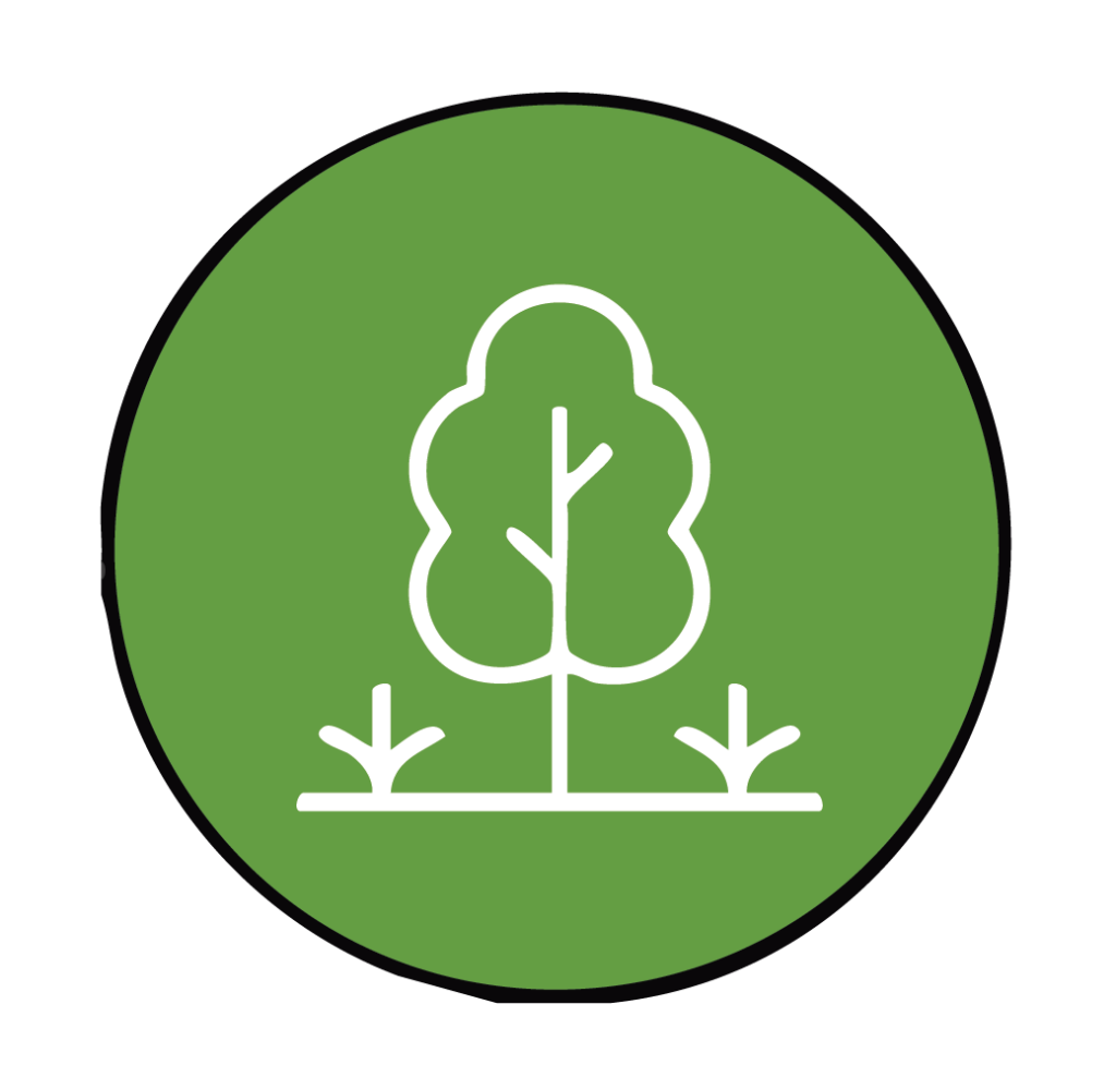 Nature Based Solutions